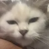 billieleasimaa