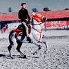 4mustafademir5