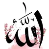 user56120385765730