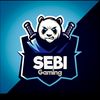 sebi5199
