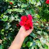md.....sakib3
