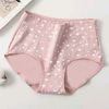 bestunderwear.id