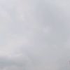 ftrksm_10