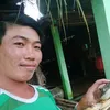 ngcmai6498