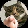 salimfattoum2
