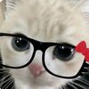 ginita.tv