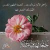 zainab_mer3e_xll