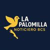 La palomilla Noticiero BCS🇲🇽