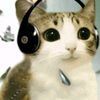 caca.com065