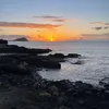 zchrie_1
