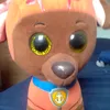 pupipadalencia123