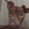 hating_anddreaming