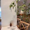 manal_305_