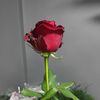 menalomar3