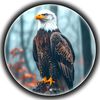 nafid_king
