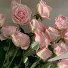 user33099704713133