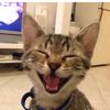 avaa_thecrazydentist