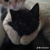ilovemygirlfriendskye0