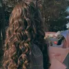 rose_0971