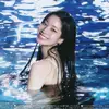 kuma_07188