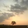 arunajepara