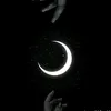 mohamadalmohamad448