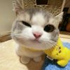 milkcocholatte23