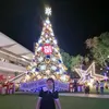 franzinesworld