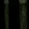 gdpt13