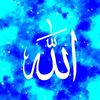 nobihusin_