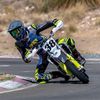 .husky38