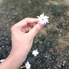 btsarmyjsjjs