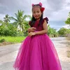elvirasajorda