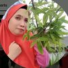 henyy3257