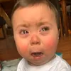 prinjaphvedr_