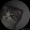 carlos_neto4