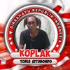 tores068