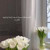 abs_f502