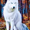 ezal__06