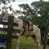 marcosglei