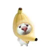 nthaoly8