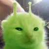 kit.zib.zib.zib.zi