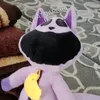 aysehusein4