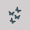 butterfly.200006