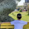 shad_229
