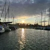 linn_wigren