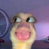 ur911itsmeee