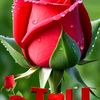 user1229257913829