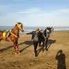 mohamedelkouchi3