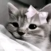 easin_gaming_